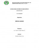 Derecho administrativo, Formas de organización administrativa federal