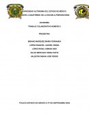 Caso empresa Comestibolsa Innovations S.A. de C.V