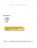 Normas Técnicas de Presupuesto