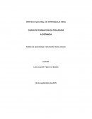 Estilos de aprendizaje instrumento Honey-Alonso