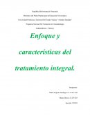 Enfoque y características del tratamiento integral