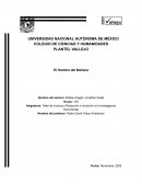 El hombre del mañana