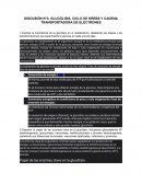 Discusión n°3: glucólisis, Ciclo de Krebs y cadena transportadora de electrones