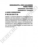 Amparo directo: protección de derechos fundamentales