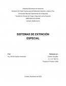 Sistemas de extencion de incendios especiales