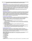 Memoria descriptiva arquitectónica para el almacén