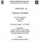 Práctica: 10 ¨Sistemas Coloidales¨