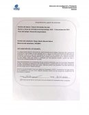 Desarrollo emprendedor. Empresa: “Luz Eco Solar”