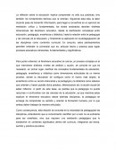 Reflexión sobre la educación: clarificación conceptual entre pedagogía, didáctica, enseñanza y ciencias de la educación