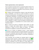 Diseños organizacionales y cultura organizacional