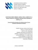 Estrategias de ambiente laboral para aumento de la productividad de la empresa Corporacion de Desarrollo Agricola, S.A