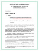 Análisis de un caso real Conflicto organizacional