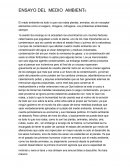 Ensayo del medio ambiente
