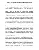 Desde el corazón del Perú Arguedas y la fuerza de los pueblos olvidados