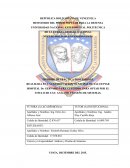 Informe de práctica profesional Desarrollo del modulo de un sistema de información (solo indice)