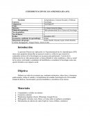 Práctica de Aplicación y/o Experimentación de los Aprendizajes (APE)