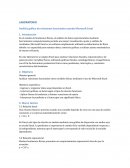 Laboratorio. Análisis gráfico de relaciones funcionales usando Microsoft Excel