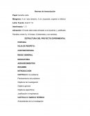 Estructura del proyecto experimental