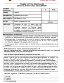 Prueba lectura domiciliaria Libro “El nuevo circo de diamante”