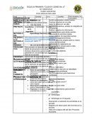 Proyecto Guardianes de la Seguridad