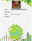 Informe de proyecto Macetas biodegradables