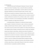 Metodología participativa para el ordenamiento territorial de San Jerónimo Tlacochahuaya, Oaxaca