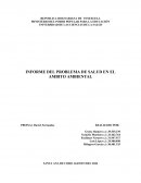 Informe del problema de salud en el ambito ambiental