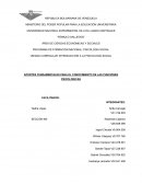 Aportes fundamentales para el conocimiento de las funciones psicológicas