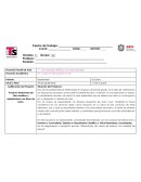 Proyecto de Vida Saludable