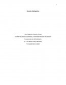 Ensayo argumentativo: características y composición