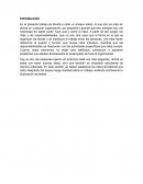 Roles y responsabilidades en las organizaciones