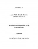 Tecnologías de información en las organizaciones