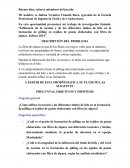 Influencia del hilo en la formación de pilling en tejidos de alpaca