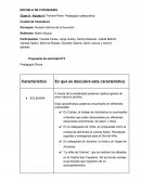 Propuesta de actividad N°3 Pedagogía Divina