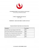 Poder y autoexposición en TikTok e Instagram entre universitarios
