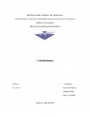 Carbohidratos: estructura, funciones y clasificación