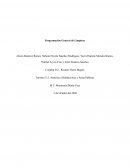 Programacion general de limpieza
