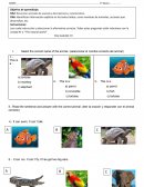 Evaluación formativa Inglés 3° básico