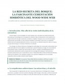La red secreta del bosque: la fascinante cementación simbiótica del wood wide web