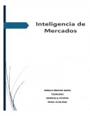 Inteligencia de mercados. Plan de acción para mi empresa de calzado