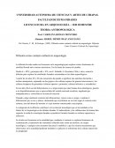 Difusion como contacto cultural