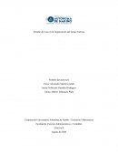 Estudio de caso en la organización del Grupo Nutresa