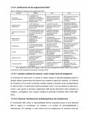 Justificación de las asignaciones RACI