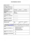 Guía para la presentación de proyectos de desarrollo